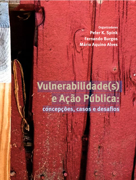 Vulnerabilidade(s) e Ação Pública: concepções, casos e desafios