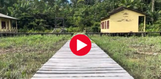 ARCHIPIÉLAGO DE BAILIQUE: UN FRAGMENTO DE LAS ISLAS QUE BAILAN