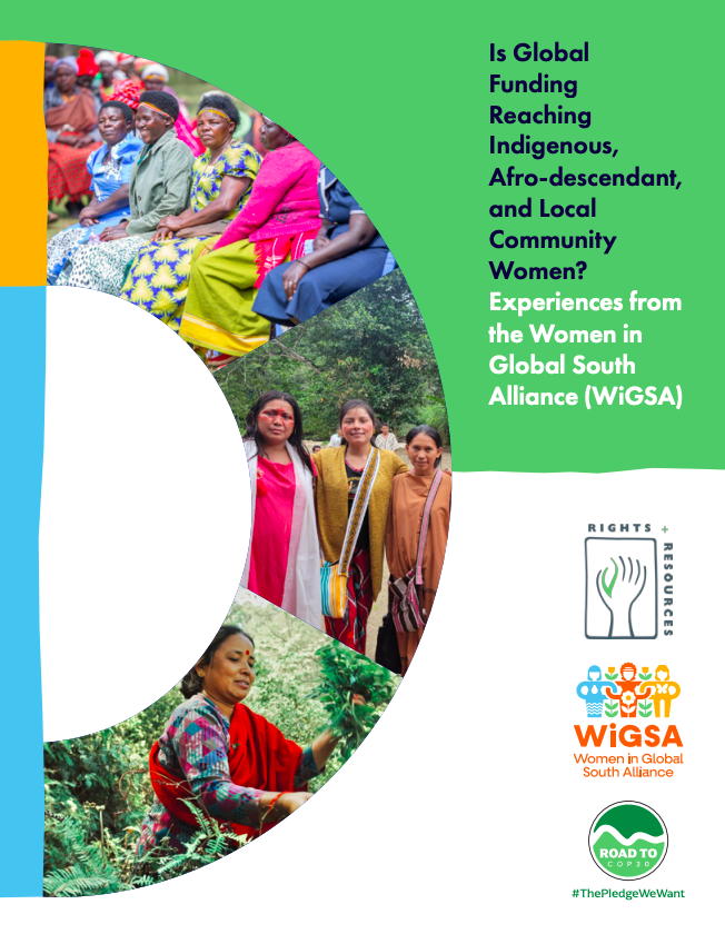 Is Global Funding Reaching Indigenous, Afro-descendant, and Local Community Women?